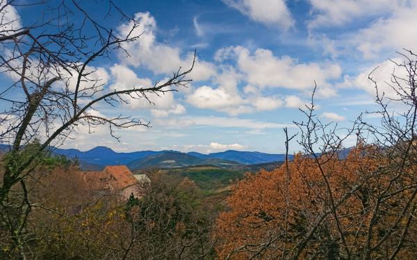 Maison à vendre    1 pièce •  Sorbiers