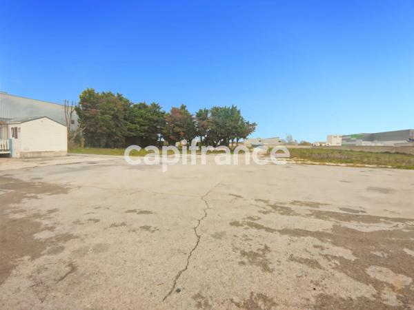 GARD (30) BEAUCAIRE (30300) LOCAL A LOUER ~550 m2 (terrain possible 1.3ha), flux constant Emplacement N°1.
