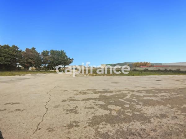 GARD (30) BEAUCAIRE (30300) LOCAL A LOUER ~550 m2 (terrain possible 1.3ha), flux constant Emplacement N°1.