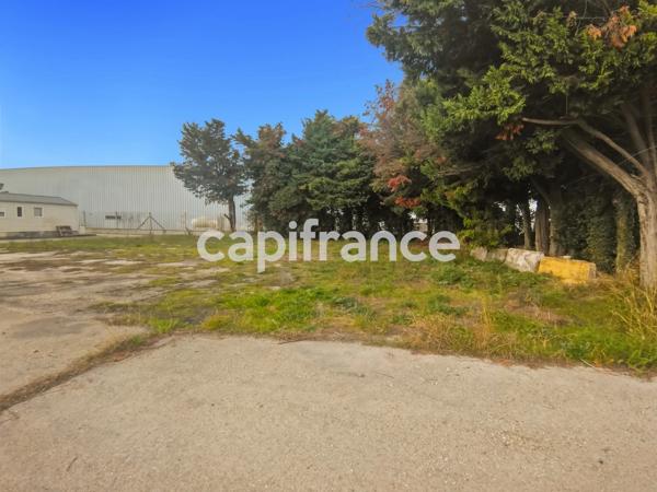 GARD (30) BEAUCAIRE (30300) LOCAL A LOUER ~550 m2 (terrain possible 1.3ha), flux constant Emplacement N°1.