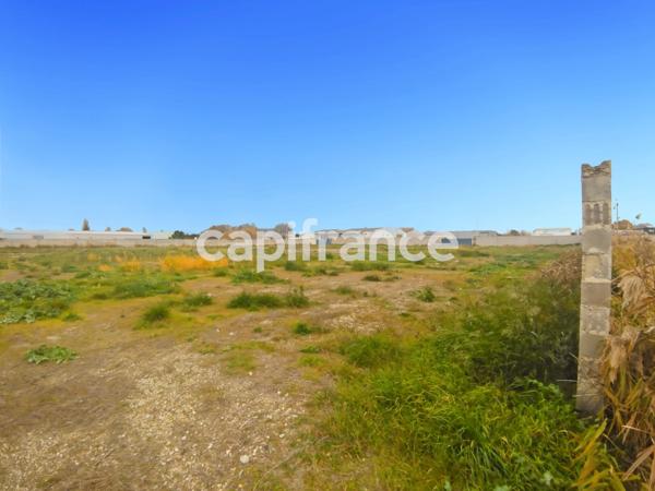 GARD (30) BEAUCAIRE (30300) LOCAL A LOUER ~550 m2 (terrain possible 1.3ha), flux constant Emplacement N°1.