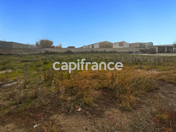 GARD (30) BEAUCAIRE (30300) LOCAL A LOUER ~550 m2 (terrain possible 1.3ha), flux constant Emplacement N°1.