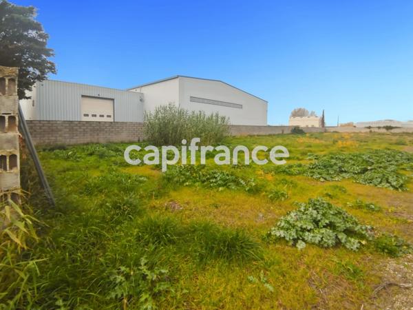GARD (30) BEAUCAIRE (30300) LOCAL A LOUER ~550 m2 (terrain possible 1.3ha), flux constant Emplacement N°1.