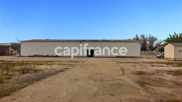 GARD (30) BEAUCAIRE (30300) LOCAL A LOUER ~550 m2 (terrain possible 1.3ha), flux constant Emplacement N°1.