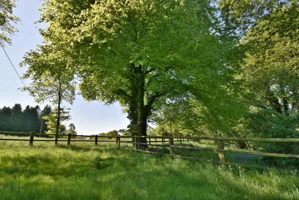 Propriété équestre de 14 hectares au cadre exceptionnel