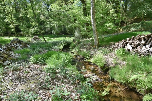 Propriété équestre de 14 hectares au cadre exceptionnel