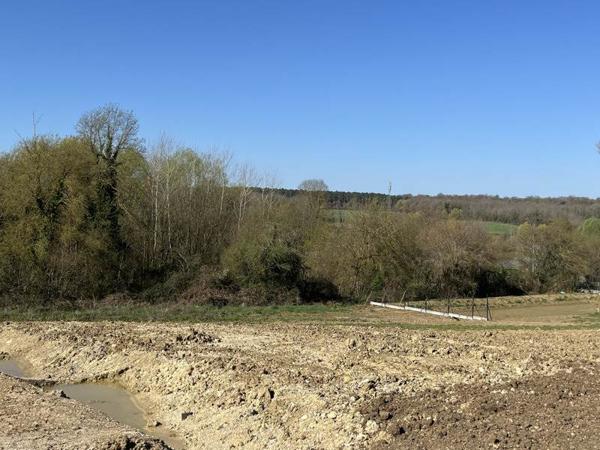 Terrain à vendre |  Saint-Michel |  465 m²