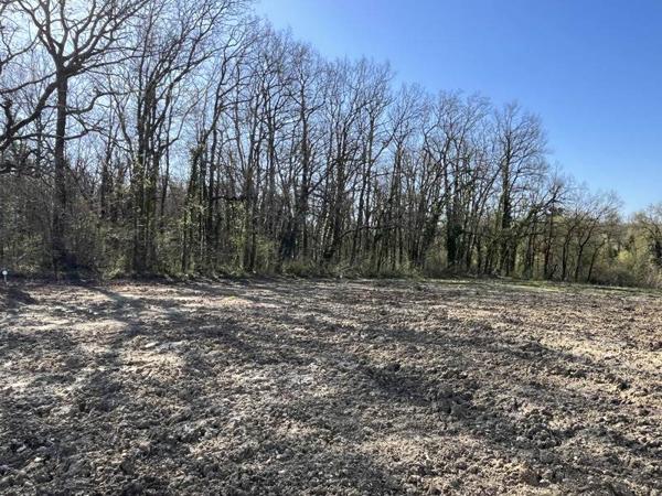 Terrain à vendre |  Saint-Michel |  465 m²