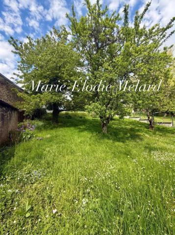 Plain-pied 3 chambres avec grand terrain de 10,71 ares – Villers-la-Chèvre – Secteur frontalier