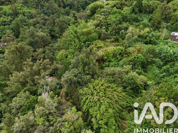 Terrain à vendre 1 250 m² Saint-Denis