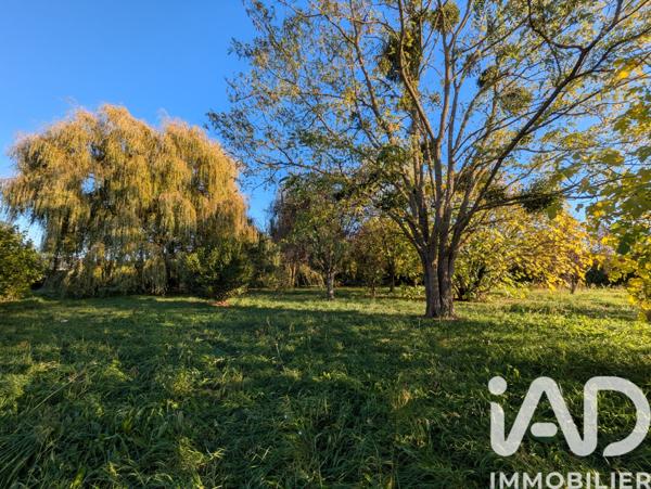 Maison à vendre 7 pièces 170 m² Bourgueil