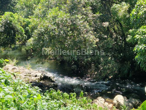 villa contemporaine Neuve