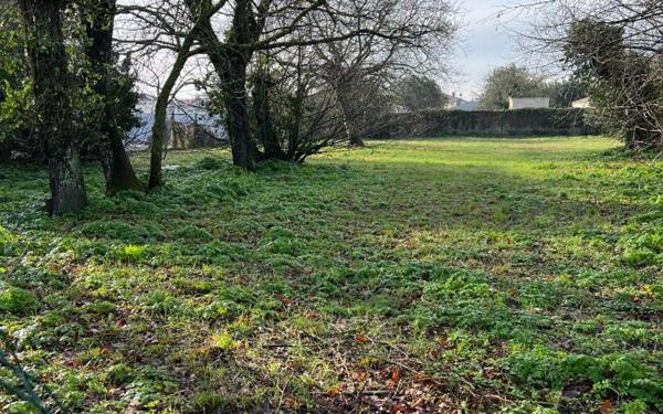 Terrain à vendre    Saint-Pierre-d'Oléron