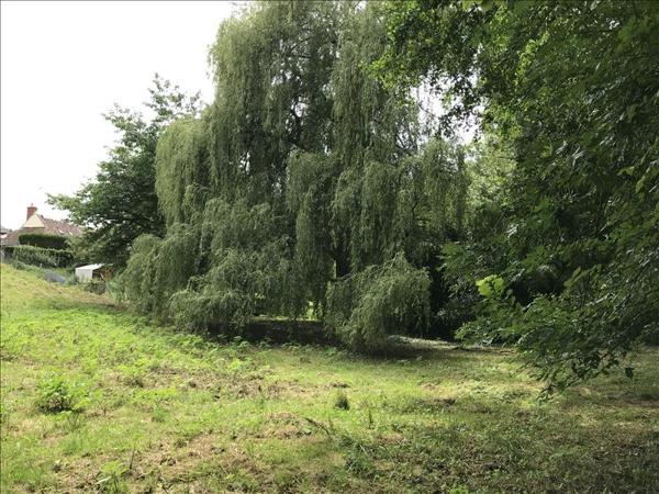 Terrain à vendre |  Orbigny |  3000 m²