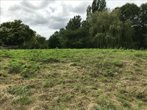 Terrain à vendre |  Orbigny |  3000 m²