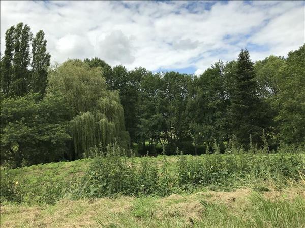 Terrain à vendre |  Orbigny |  3000 m²