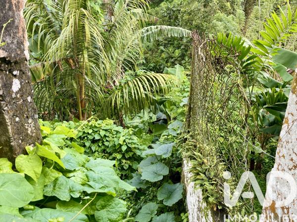 Maison à vendre 9 pièces 159 m² Fort-de-France