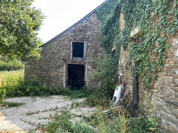 Longère en pierre à rénover avec dépendances et 6 000 m² de terrain