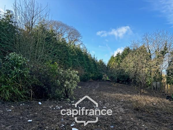 Longère en pierre à rénover avec dépendances et 6 000 m² de terrain