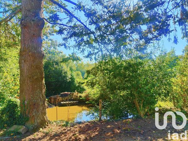 Maison à vendre 5 pièces 127 m² Torigny-les-Villes