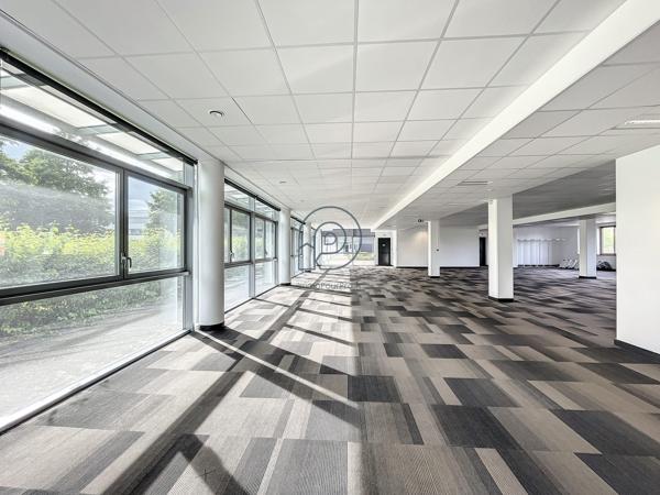 Rdc bureaux divisible - Haute Borne à vendre