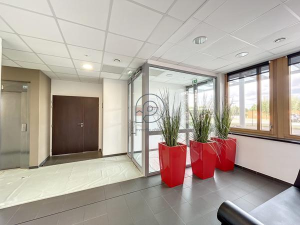 Rdc bureaux divisible - Haute Borne à vendre