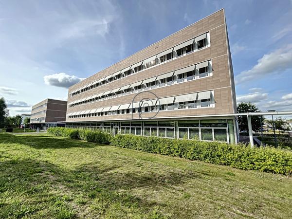 Rdc bureaux divisible - Haute Borne à vendre