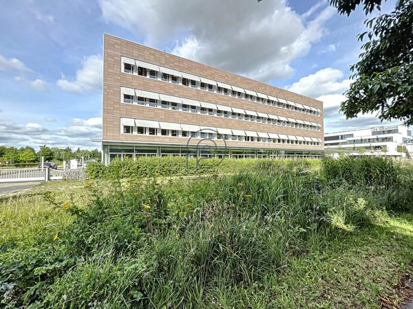 Rdc bureaux divisible - Haute Borne à vendre