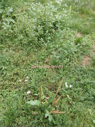 Terrain à vendre de 4 360 m²