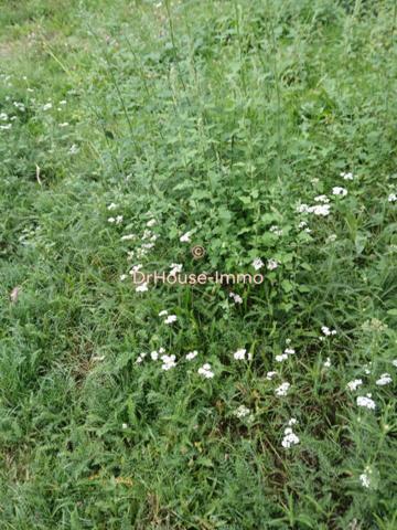 Terrain à vendre de 4 360 m²