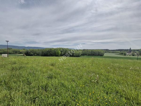 Terrain viabilisé d'une surface d'environ 750 m² dans un très bel environnement entre Cuiseaux et Louhans