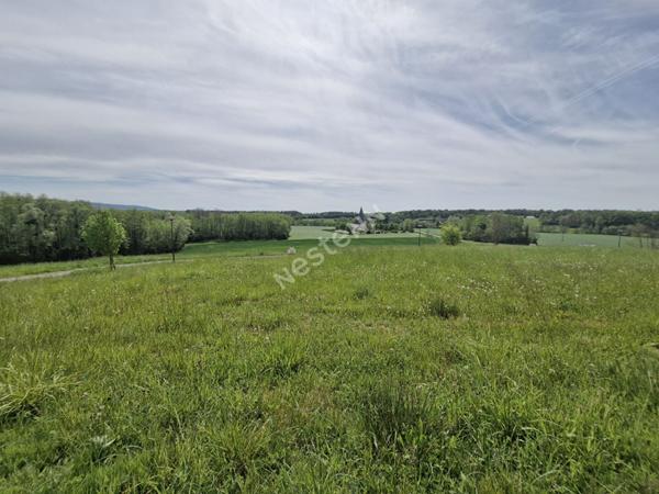 Terrain viabilisé d'une surface d'environ 750 m² dans un très bel environnement entre Cuiseaux et Louhans