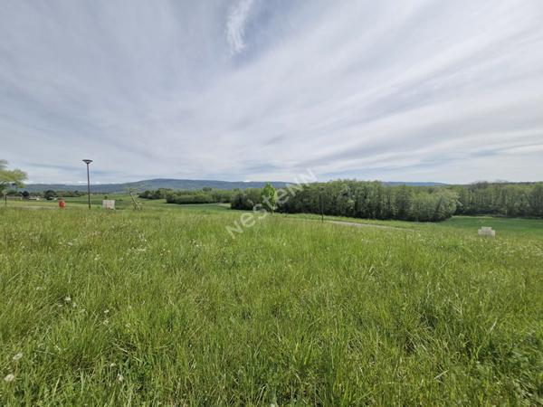 Terrain viabilisé d'une surface d'environ 750 m² dans un très bel environnement entre Cuiseaux et Louhans