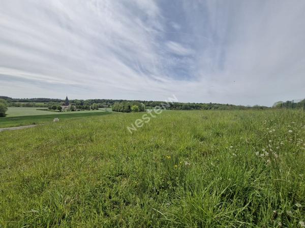Terrain viabilisé d'une surface d'environ 750 m² dans un très bel environnement entre Cuiseaux et Louhans
