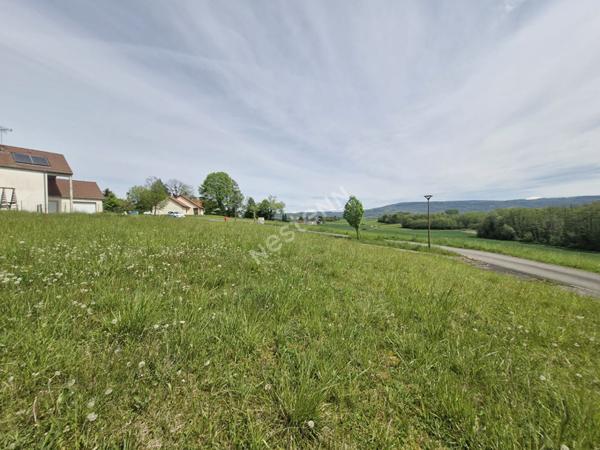 Terrain viabilisé d'une surface d'environ 750 m² dans un très bel environnement entre Cuiseaux et Louhans