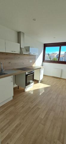 T3 ENTIEREMENT RENOVE AVENUE JEAN GIONO
