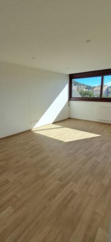 T3 ENTIEREMENT RENOVE AVENUE JEAN GIONO