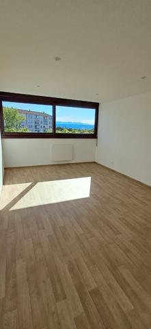 T3 ENTIEREMENT RENOVE AVENUE JEAN GIONO