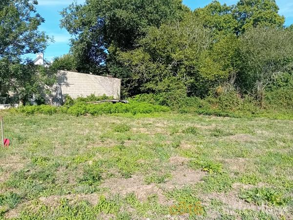 Vente
                Terrain481 m² - LANGUIDIC (56440)