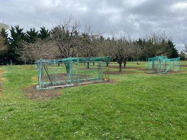 Maison Le Blanc 4 pièce(s) 086 m2