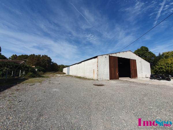 Entrepôt / Local industriel à VENDRE