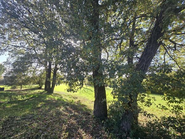 Agréable maison de plain pied proximité Montastruc 4 pièce(s) 117 m2 Charmante maison de plain-pied dans un écrin de verdure