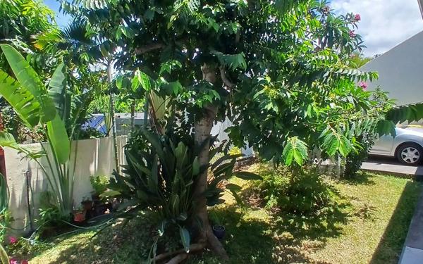 Maison à vendre    6 pièces • 170 m2 Saint-Louis