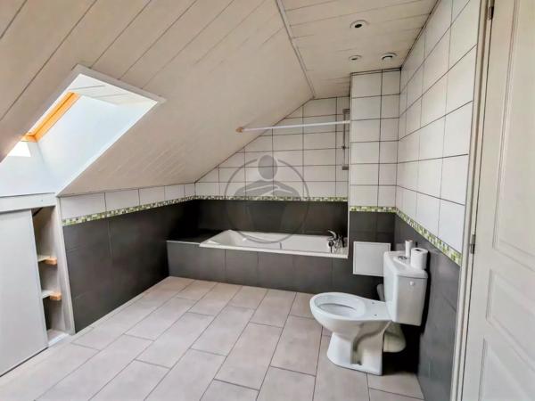 Vente                                                      Maison
                        
                     8 pièces                      219 m2                     à Chalezeule