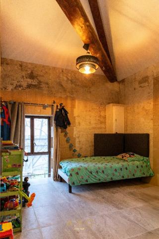 AIMARGUES - ANCIEN CHAI - T6 -  260 M2 - TERRAIN - 5 000 M2 - 780 000 