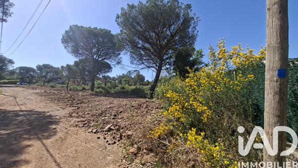 Terrain à vendre 1 131 m² Le Cannet-des-Maures