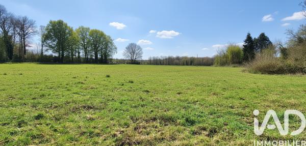 Terrain à vendre 13 127 m² Saint-Loup-d'Ordon