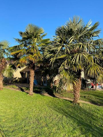 Achat terrain Presles-en-Brie - 1250 m² - 813 500 €