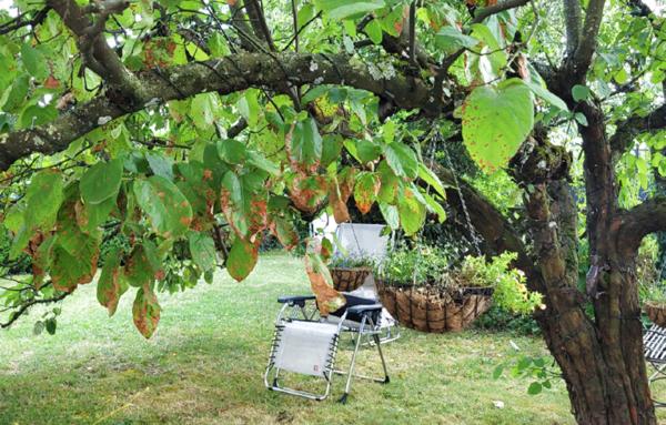 Demeure de charme à Ornex rénovée et très bien placée