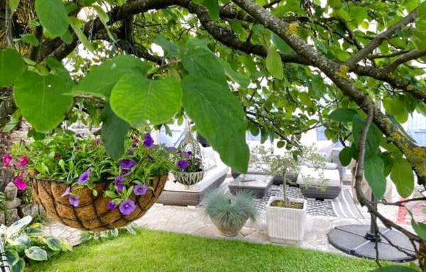 Demeure de charme à Ornex rénovée et très bien placée